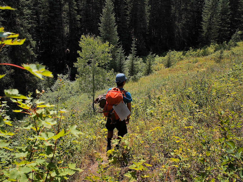 Stein Valley Traverse – Lizzie to Blowdown